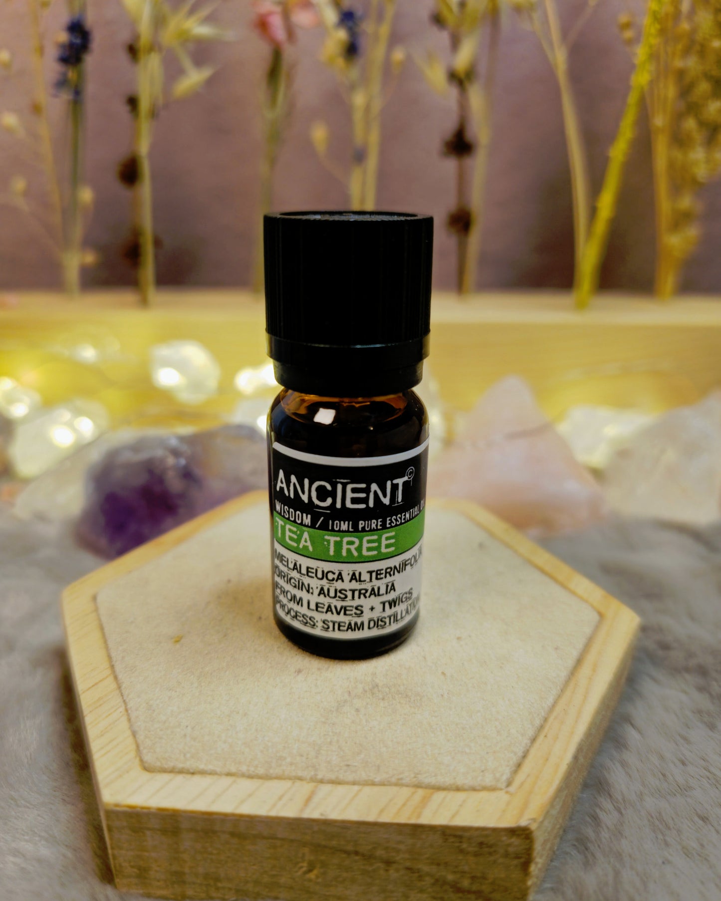 Ätherisches Öl Teebaum – Reinigung, Klarheit & natürliche Kraft