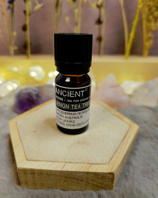 Ätherisches Öl Zitronenteebaum – Frische Klarheit & kraftvolle Reinigung