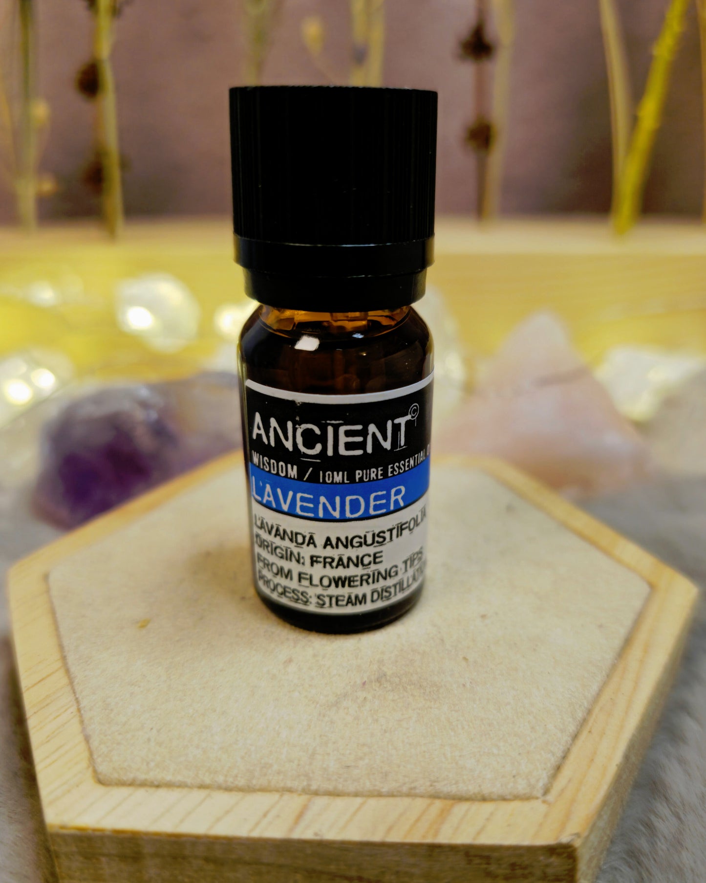 ätherisches Öl Lavendel – Entspannung für Körper, Geist & Raum