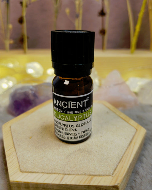 Ätherisches Öl Eukalyptus – Klare Luft & klare Gedanken
