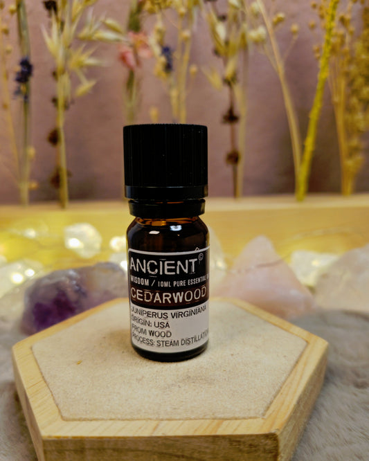 Ätherisches Öl Zedernholz  – Stärke, Schutz & innere Ruhe